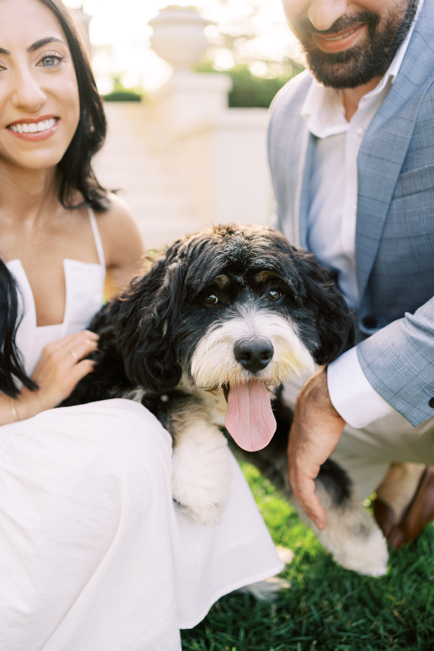 Bernedoodle Engagement Session in Wheaton, Illinois