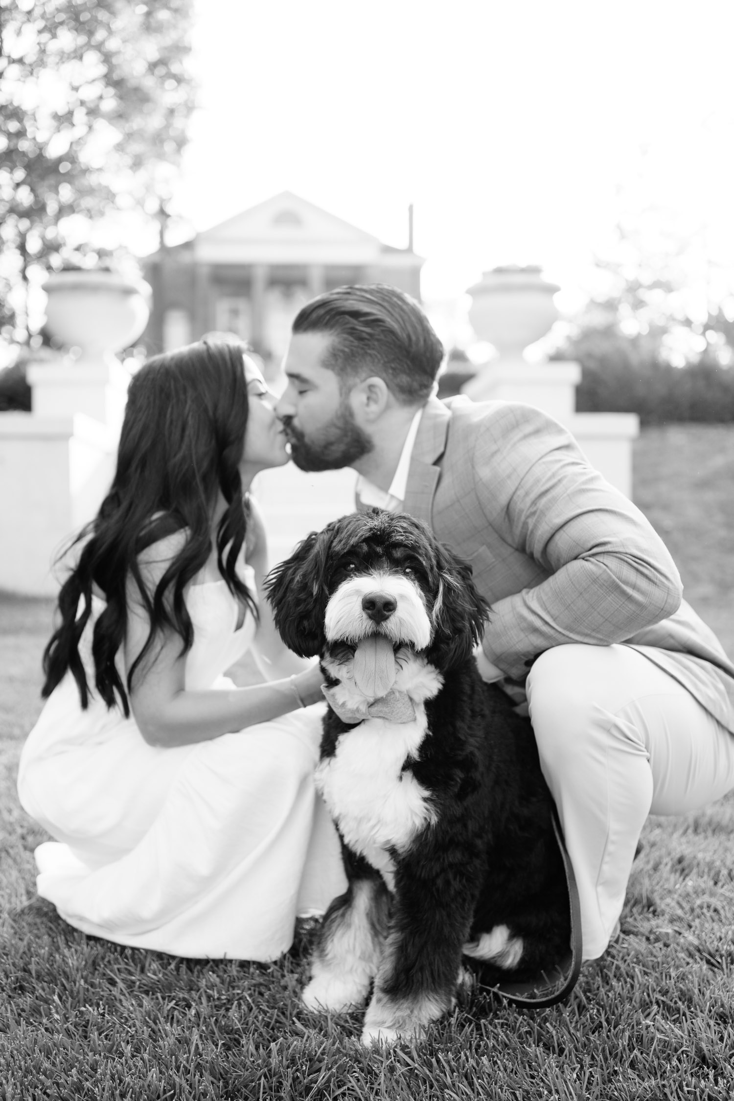 Bernedoodle Engagement Session in Wheaton, Illinois