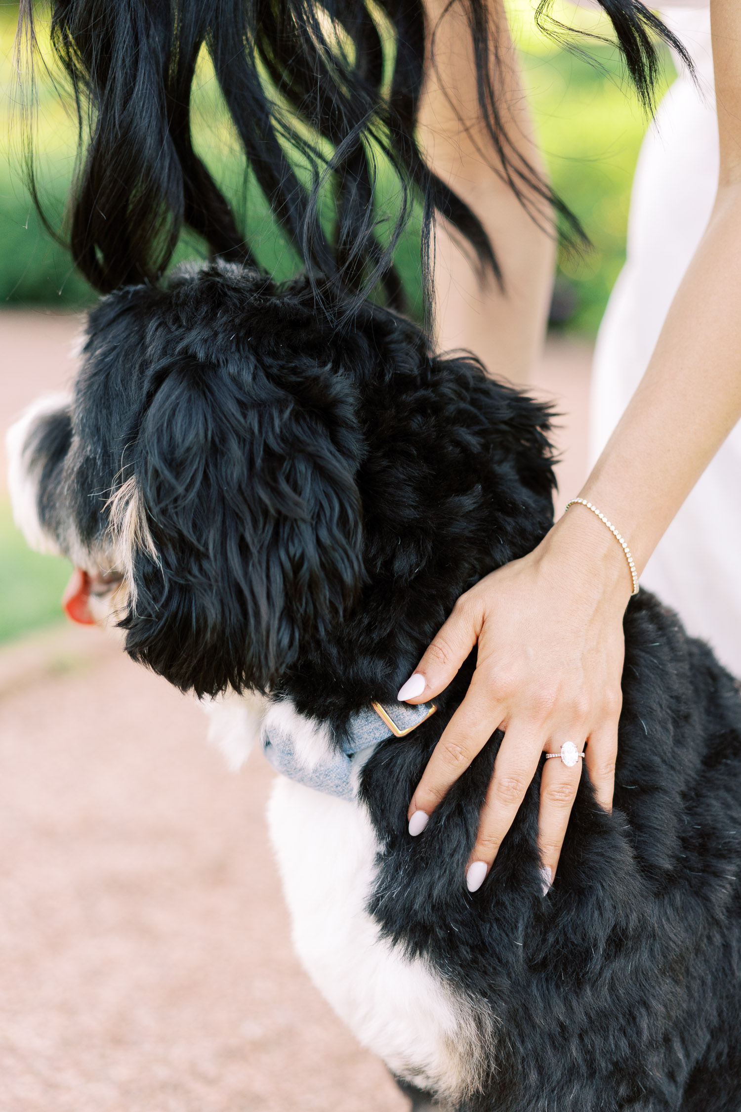 cantigny park engagement session – brittany bekas 2025-33