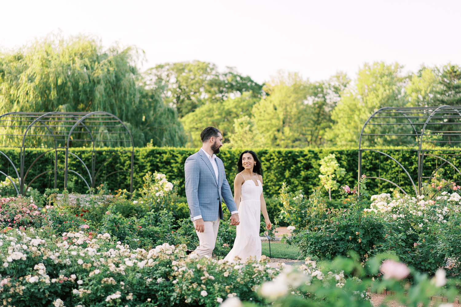 Rose Garden Engagement Session at Cantigny Park